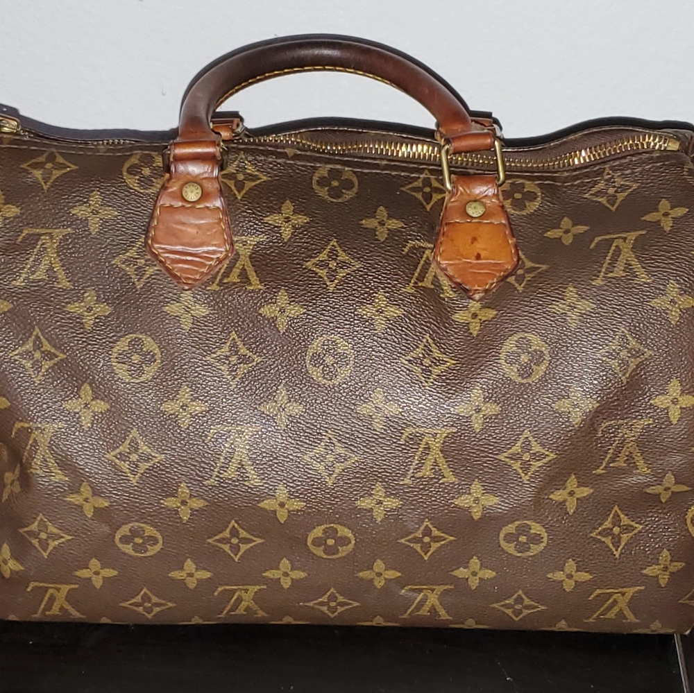 Louis Vuitton Speedy Handbag